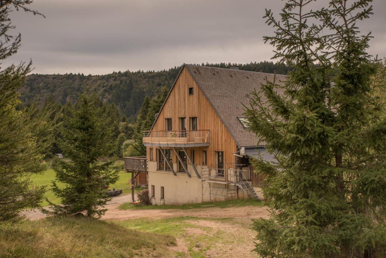 Terre De Sapins - Gites Nature Haut De Gamme Avec Sauna Au Coeur Du Lac Blanc Orbey Exterior photo