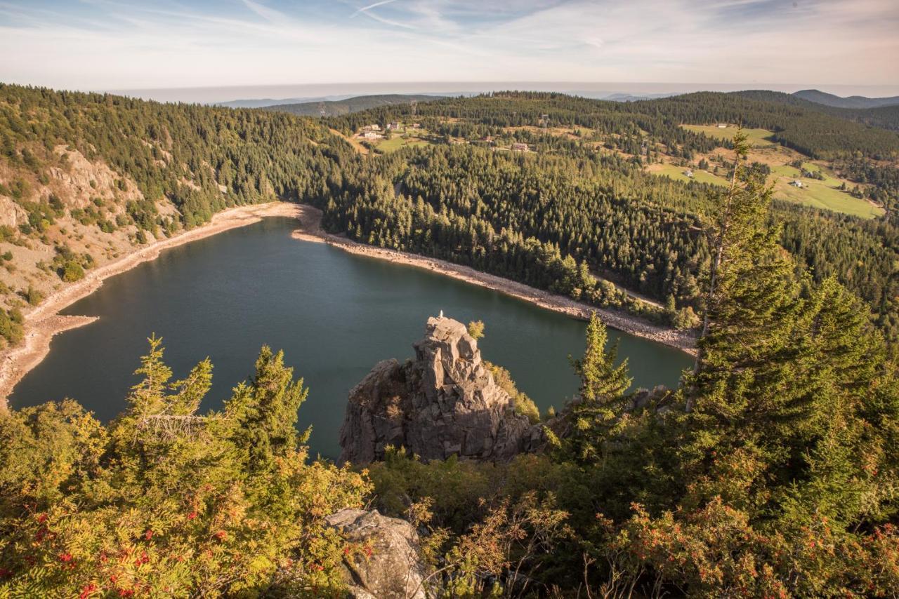 Terre De Sapins - Gites Nature Haut De Gamme Avec Sauna Au Coeur Du Lac Blanc Orbey Exterior photo